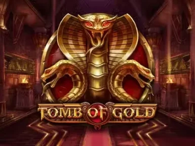 TomCasino screenshot